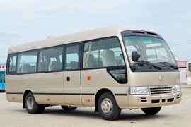 Autobus de luxe électrique HFF6700BEV